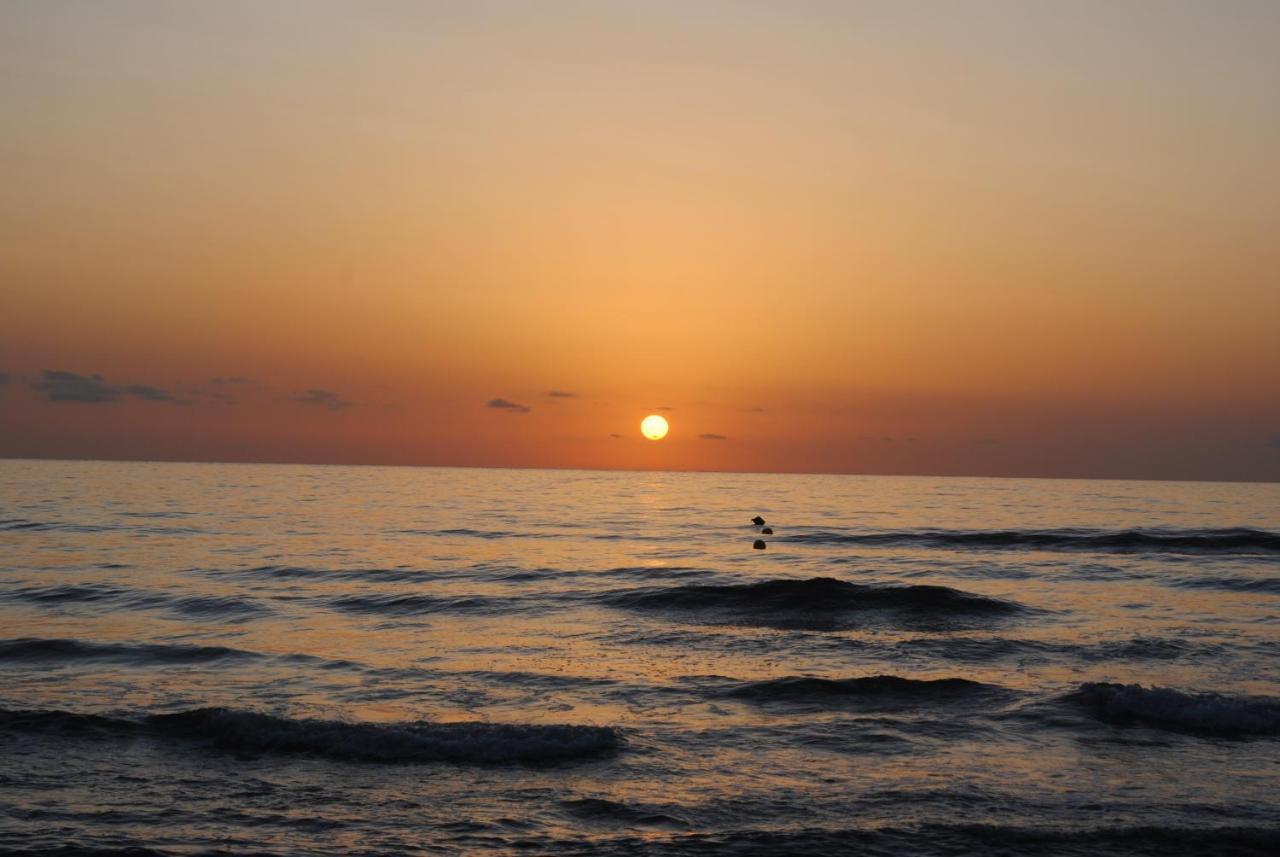 Gandia Playa-Apartamento Gandiazar 2 - Vt- 49300-V Playa de Gandia Eksteriør billede