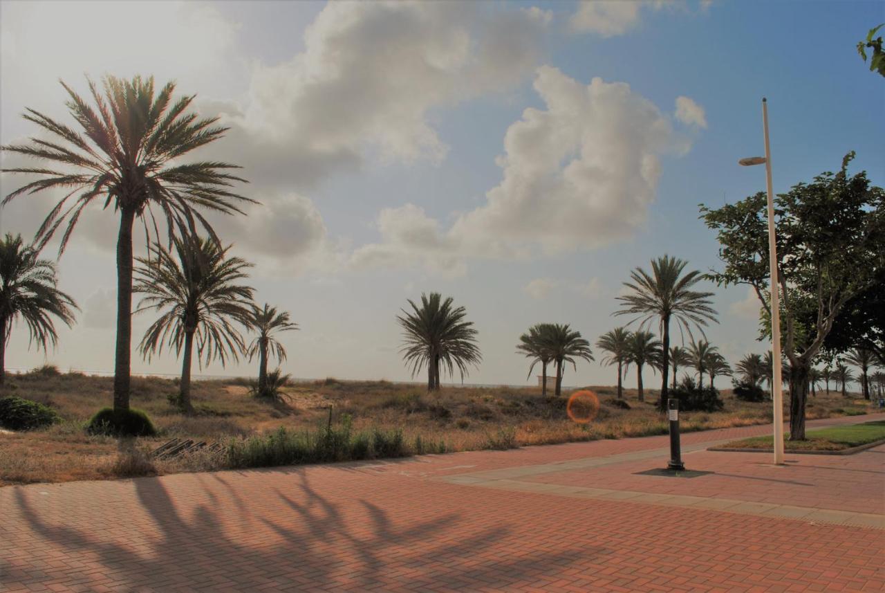 Gandia Playa-Apartamento Gandiazar 2 - Vt- 49300-V Playa de Gandia Eksteriør billede